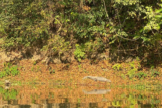 1 Night 2 Days Chitwan Jungle Safari Tour from Pokhara or Kathmandu - The Bus Ride from Kathmandu or Pokhara