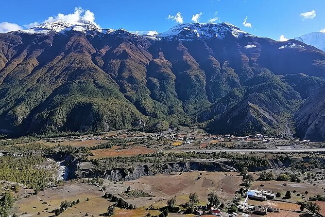 10 Days Annapurna Circuit Trek - Day 4: Pine forest and the mountain panorama near Manang