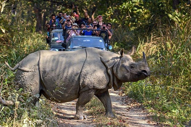 10 days Special Nepal Tour Package - The long return to Kathmandu