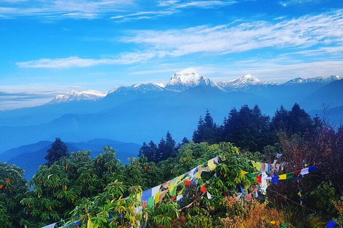 11-Day Hike Tour to Annapurna Base Camp Bliss in Kathmandu - Days 3 and 4: Ulleri stairs, Ghorepani, and Poon Hill sunrise