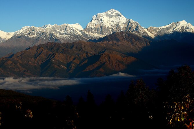 12-Day Nepal Adventure Trek with Jungle Safari - Day 7: Forest paths to Ghandruk