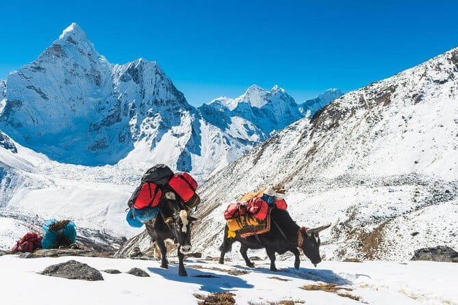 12 Days Everest Base Camp Trek from Kathmandu - Day 7: Dingboche to Lobuche and the high country