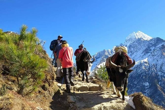 14 Days Everest Base Camp Trekking - Day 5: Tengboche and the first major mountain views