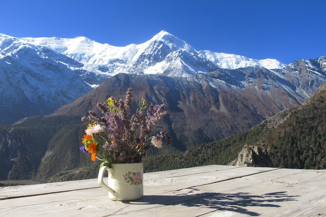 15-Day Private Annapurna Circuit Trek from Kathmandu - Rhododendron Forests and Poon Hill Sunrise