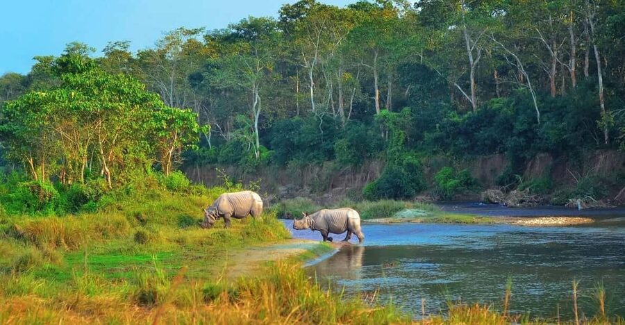 2 Days Chitwan Jungle Safari Tour from Pokhara/Kathmandu - Checking in at Rainbow Safari Resort