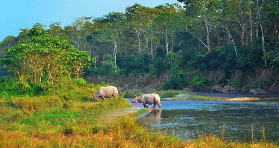 2 Days Chitwan Jungle Safari Tour from Pokhara/Kathmandu - The early pickup from Kathmandu or Pokhara