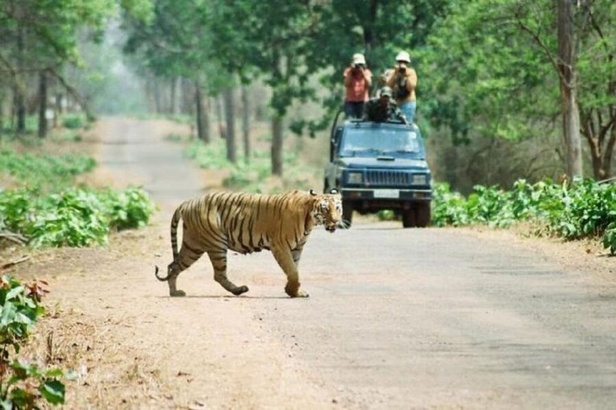 3-Day Chitwan Jungle Safari Adventure From Kathmandu/Pokhara - Sauraha, the Rapti River, and your first afternoon