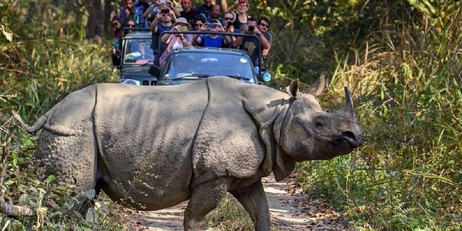 3-Day Chitwan Jungle Safari Adventure From Kathmandu/Pokhara - What the $158 price really covers