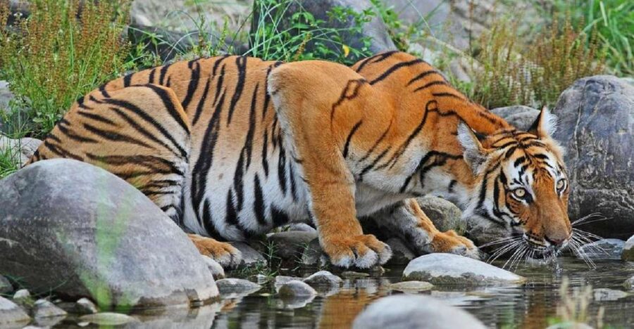 3-Day Chitwan Jungle Safari Adventure From Kathmandu/Pokhara - The six-hour road from Kathmandu or Pokhara