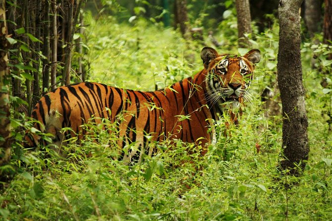 3-Day Chitwan Jungle Safari Tour from Kathmandu - Morning canoeing on the Rapti River