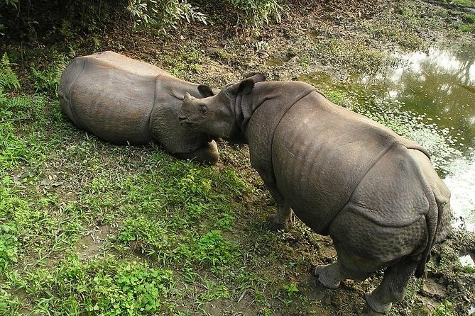 3-Day Chitwan Jungle Safari Tour from Kathmandu - The six-hour return to Kathmandu