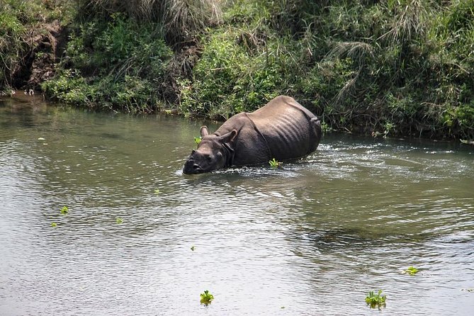 3-Day Chitwan Jungle Safari Tour from Kathmandu - The 6 a.m. departure from Kathmandu