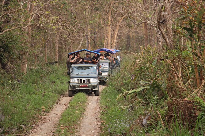 3-Day Chitwan National Park Jungle Safari Tour Package with Pick Up - The Rapti River canoe ride
