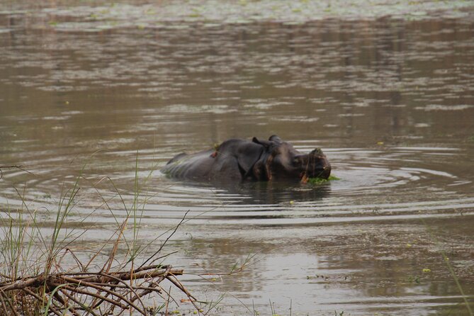 3-Day Chitwan National Park Jungle Safari Tour Package with Pick Up - The people and level of support