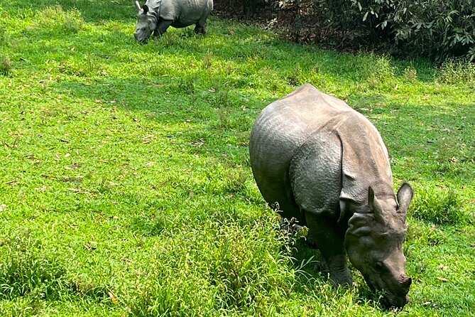 3-Day Guided Safari Tour in Chitwan National Park in Nepal - Why Chitwan is worth the long road from Kathmandu