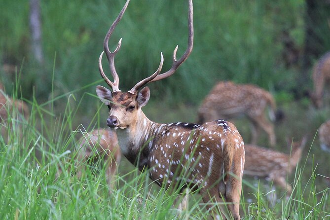 3 Days Jungle Safari in Chitwan National Park - The six-hour road from Kathmandu to Sauraha