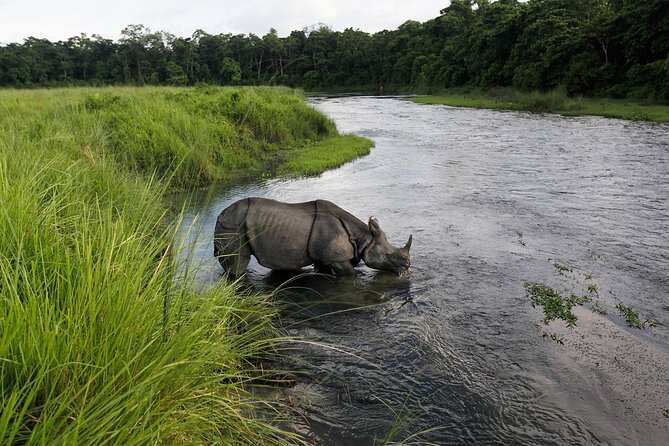 3 Nights 4 Days Chitwan National Park with Tower Night Stay - Day 3: Returning from the tower and more time in Chitwan