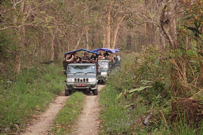 3 Nights 4 Days Chitwan National Park with Tower Night Stay - What the $350 price covers