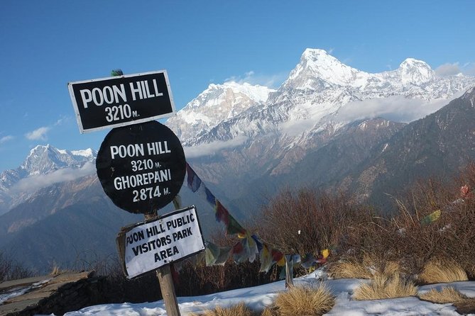 4-day Poon Hill Trek - Day four: the early climb to Poon Hill