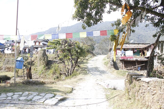 7 Days Langtang Valley Trek from Kathmandu - Day 3: Forest, river details, and first big mountain views
