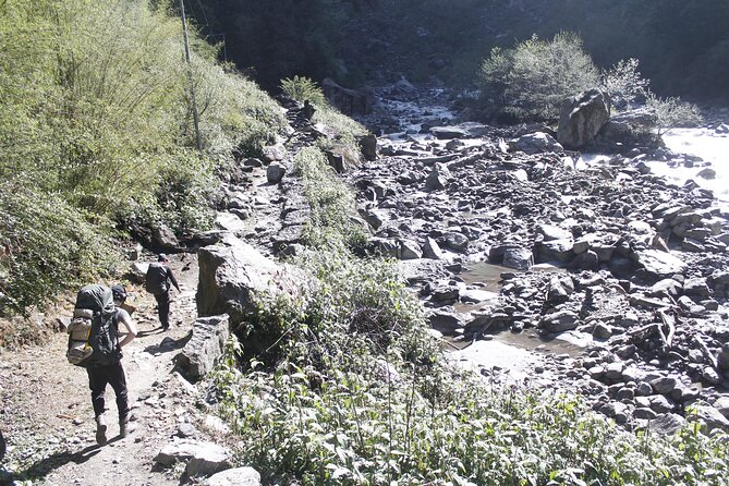 7 Days Langtang Valley Trek from Kathmandu - Day 6: Returning to Syabrubesi through green foothills