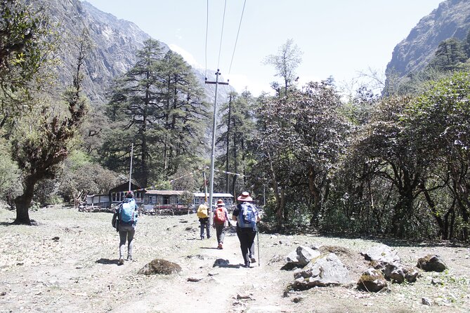 7 Days Langtang Valley Trek from Kathmandu - Day 7: Seven hours back to Kathmandu