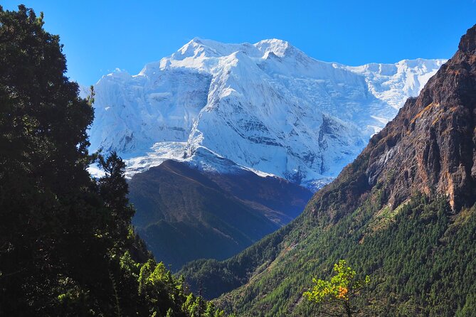 8 Days Private Guided Trekking in Annapurna Circuit with Pickup - Thorong High Camp and the Pass Approach