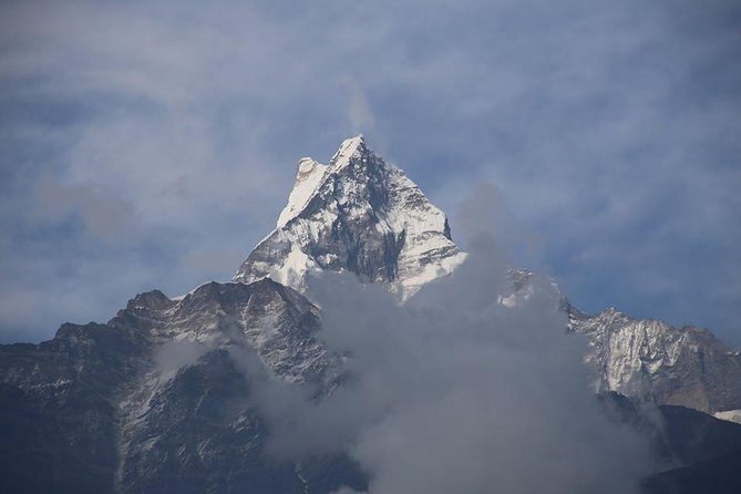 8 Days Special Nepal Tour Package - Day 4: Jungle walking, canoeing, and a jeep safari