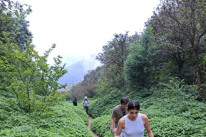 Amazing 1 Day Trekking Experience in Kathmandu Nepal - What the $130 price really covers