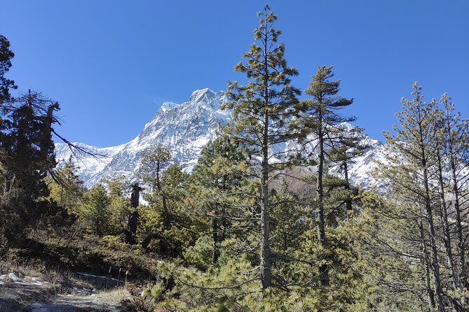 Annapurna Base Camp Trek - 10 Days - Key points to know before booking