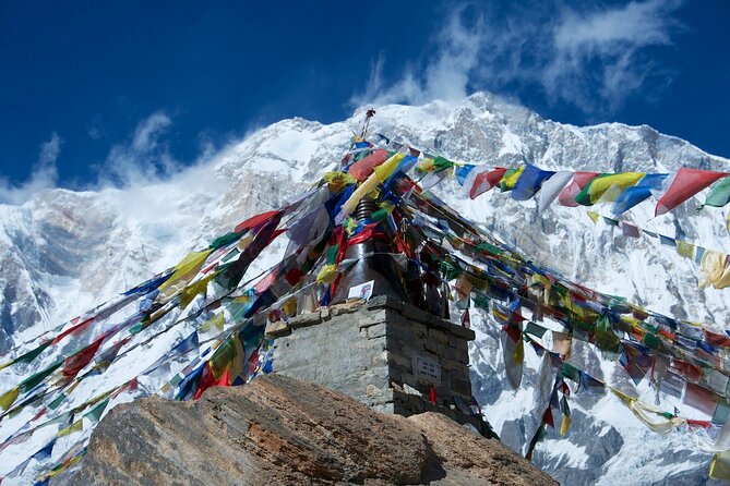Annapurna Base Camp Trek 12 Days - From Tadapani to Chhomrong