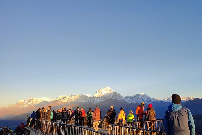 Annapurna Base Camp Trek 12 Days - Day 5: Poon Hill sunrise and the road to Tadapani
