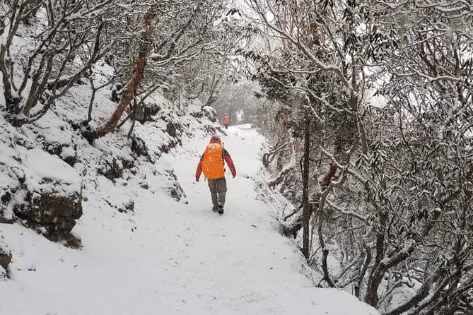 Annapurna base camp trek 5 Days - What the $699 price includes