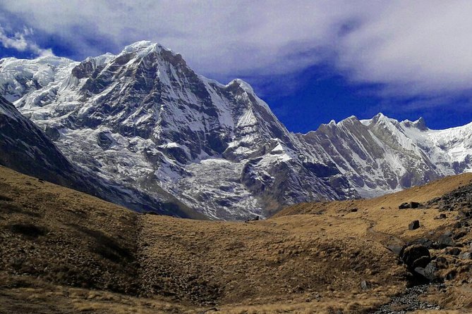Annapurna Base Camp Trekking - Tadapani to Chhomrong brings steep steps and village life