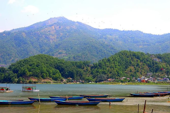 Best Nepal Tour: Kathmandu Pokhara Chitwan Tour - Days 2 and 3: Chitwan’s jungle country