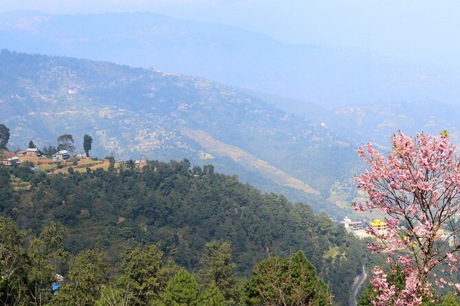 Changunarayan Hill to Telkot Hike Near Kathmandu Day Tour - Birds, farms, and a suspension bridge near Telkot