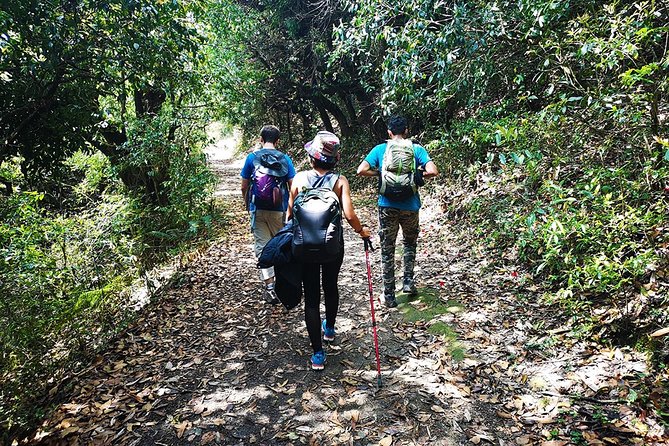 Chisapani - Nagarkot Trek Nepal - 3 Days - Private transport and group size