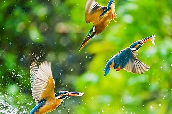Chitwan 2 Nights All Inclusive Jungle Safari Tour - What the $128 price really covers