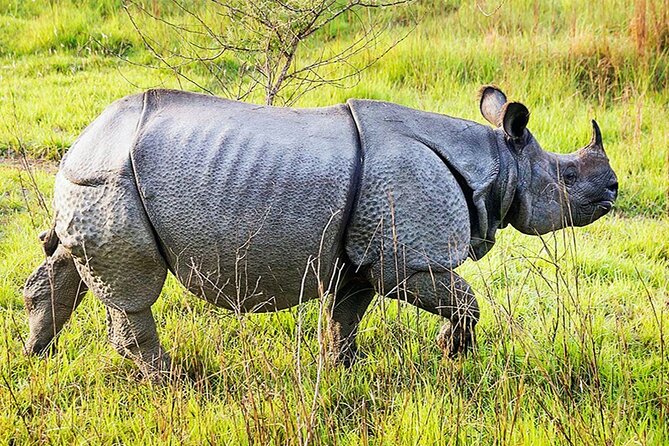 Chitwan 2 Nights All Inclusive Jungle Safari Tour - The road from Kathmandu through Thankot and Narayanghat