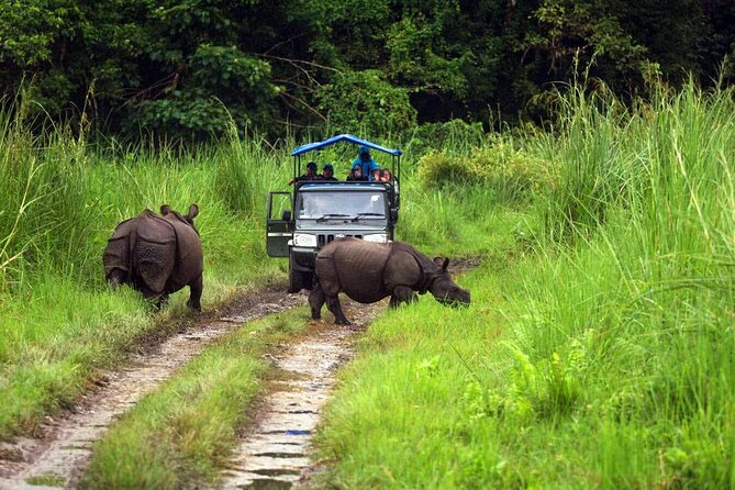 Chitwan Jungle Safari 3-Day Tour - Practical advice for a smoother trip