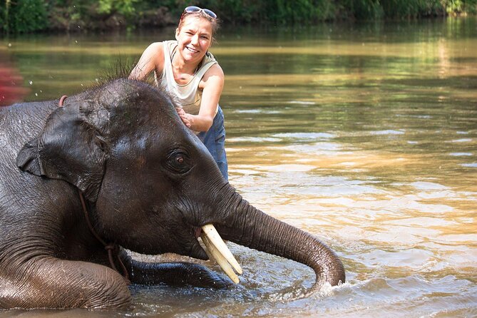 Chitwan National Park Tour - From Kathmandu to Chitwan by morning bus
