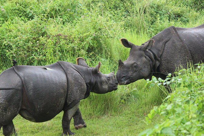 Chitwan National Park Tour - Is $144 a fair price?