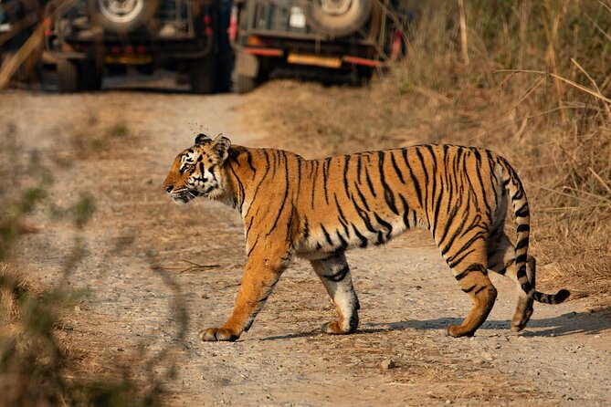 Chitwan National Park Tour - Who will enjoy this three-day visit?