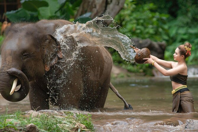 Chitwan National Park Tour - Day one: settling into Chitwan District
