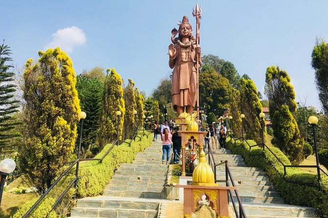 Discover Nepal’s Treasures: A 9-Day Private Tour - Day 4: Canoes, birds, and Chitwan wildlife