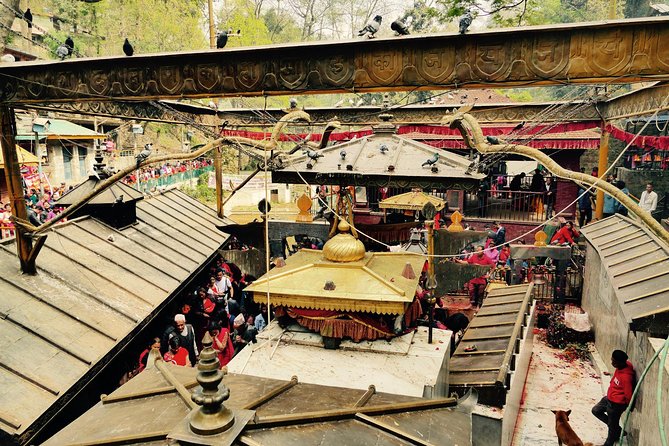Escorted Full Day Pharping, Dakshinkali and Kirtipur Day Trip with Newari Lunch - Three very different sides of the Kathmandu Valley