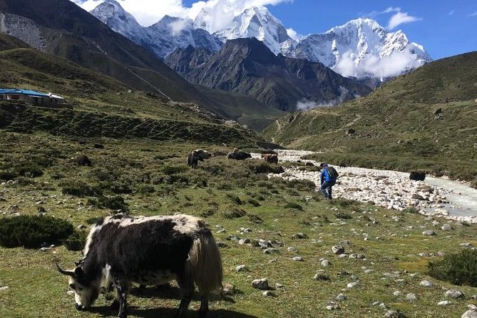 Everest Base Camp Helicopter Tour landing at Everest View Hotel - Safety, weather, and the value of flexibility