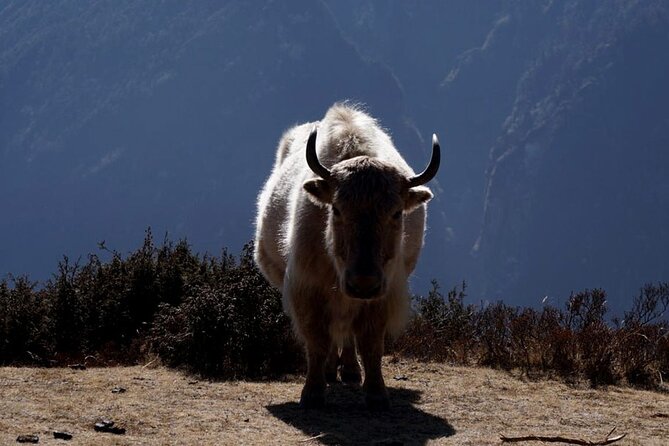 Everest Base Camp Trekking - 2025/2026 - Lobuche to Gorak Shep and Everest Base Camp