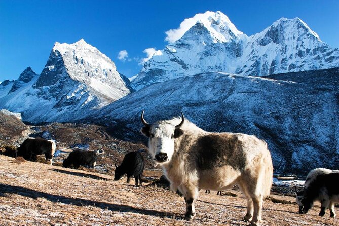 Everest Helicopter Tour - A four-hour flight into the Everest region