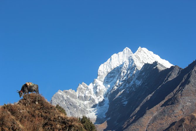 Everest Three Pass Trek - Day 11: Gokyo Lakes and Gokyo Ri